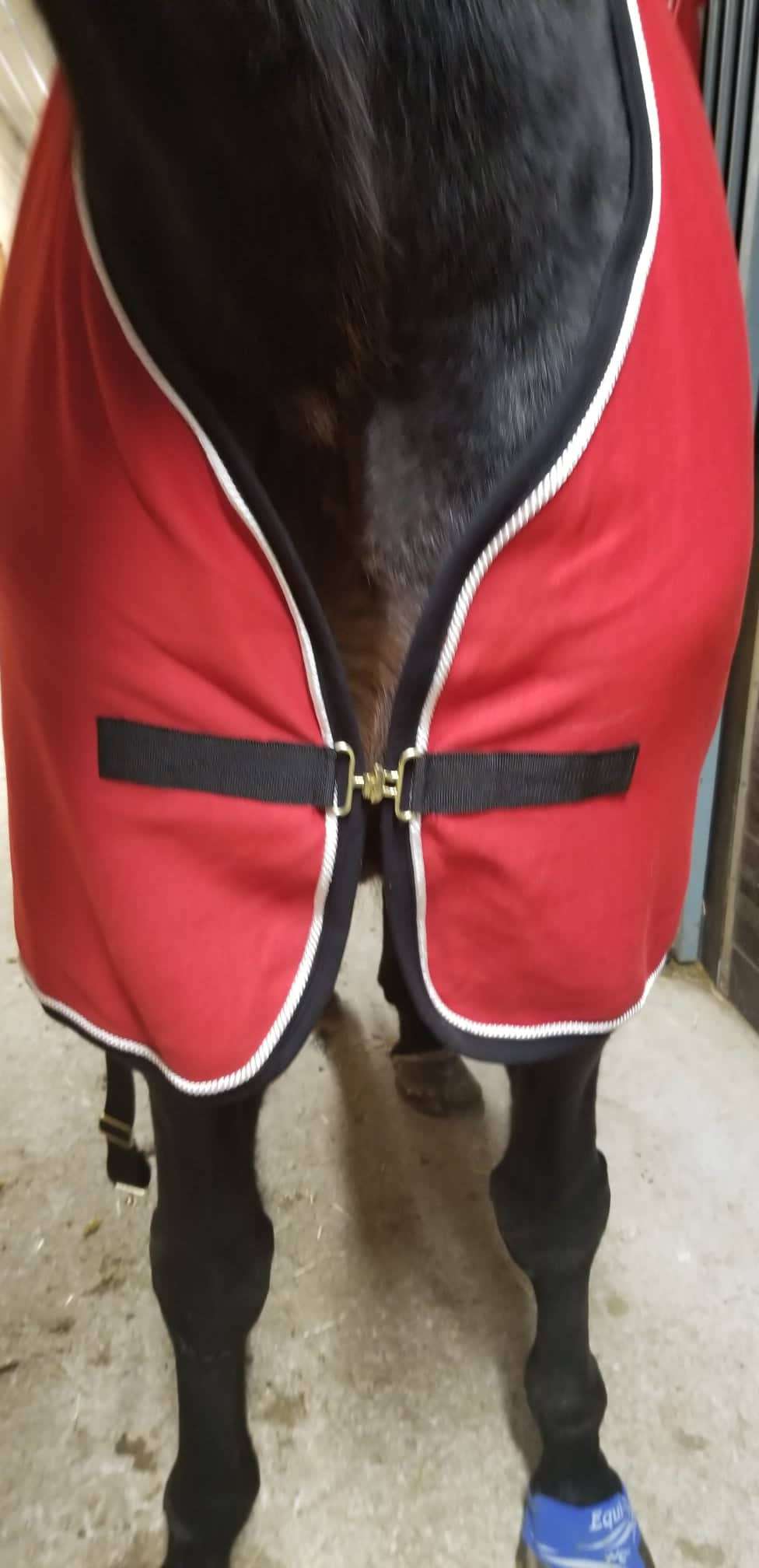 psr canada cooler - red and black