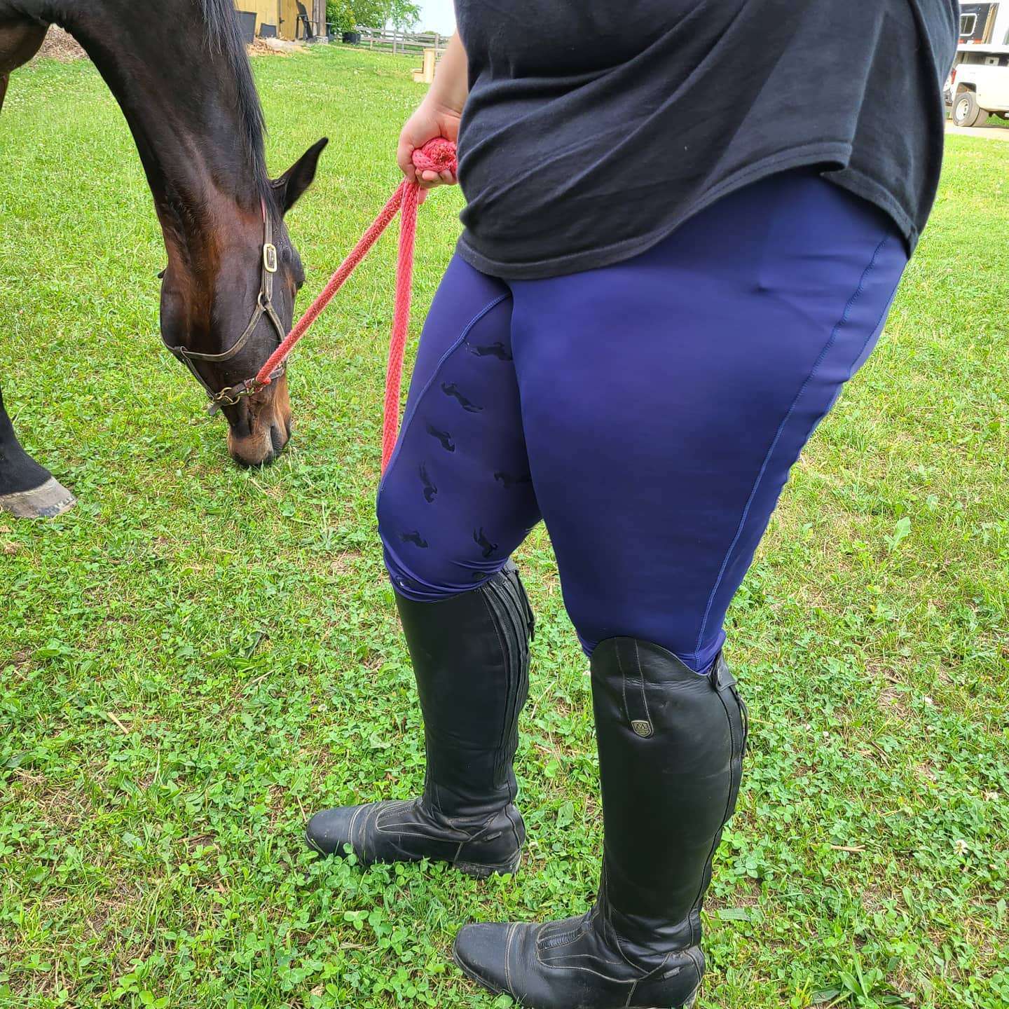 Fleece Lined Criss-Cross Riding Tights, designed with comfort in mind –  Plus Size Rider Canada
